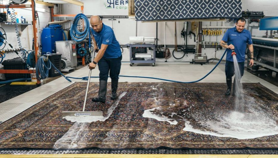 Rug Cleaning in Fort Myers That Keeps Your Home Feeling Fresh